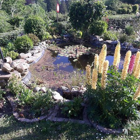 Studio Au Jardin Fleuri Verviers Luaran gambar