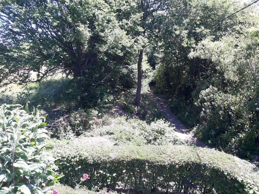Studio Au Jardin Fleuri Verviers Luaran gambar